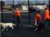 K-9 Search and Rescue Demonstration 1
