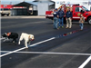 K-9 Search and Rescue Demonstration 2