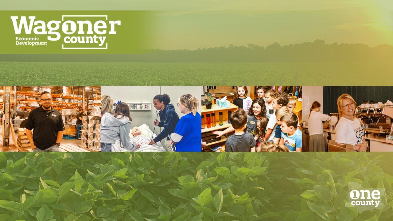 One Wagoner County Infographic